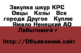 Закупка шкур КРС , Овцы , Козы - Все города Другое » Куплю   . Ямало-Ненецкий АО,Лабытнанги г.